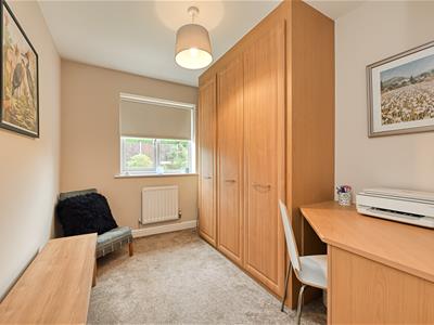 Picture 23
